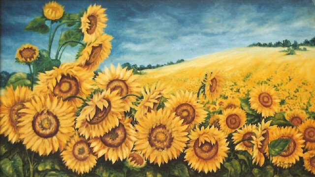 Paesaggio di girasoli