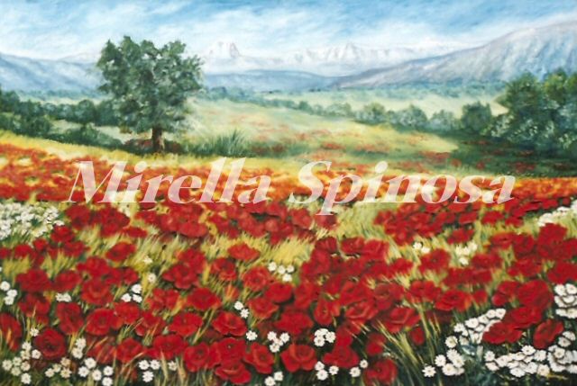 Campo di papaveri nella campagna peligna