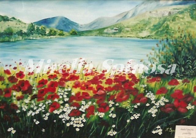 I papaveri sul lago di Scanno