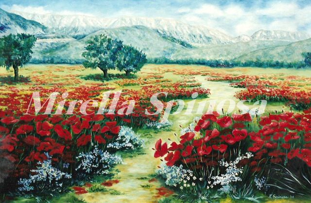 Campo di papaveri nella campagna di Sulmona